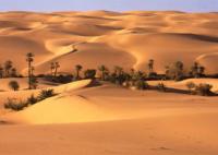الصورة الرمزية صحراء الدهناء